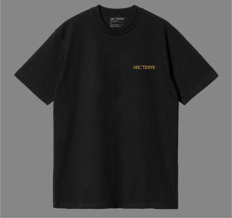 Футболка мужская Arcteryx Logo черная белая Арктерикс Новинка