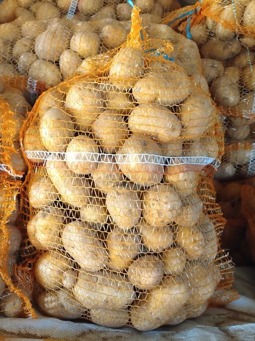 Sprzedam ziemniaki jadalne DENAR i LILI 15kg