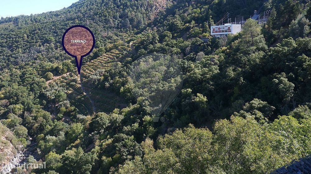 Terreno  para venda