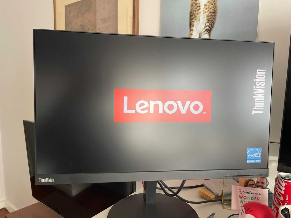 Monitor Lenovo ThinkVision T24i-10