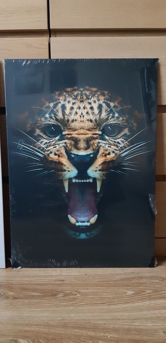 Displate L Gepard Metal Poster