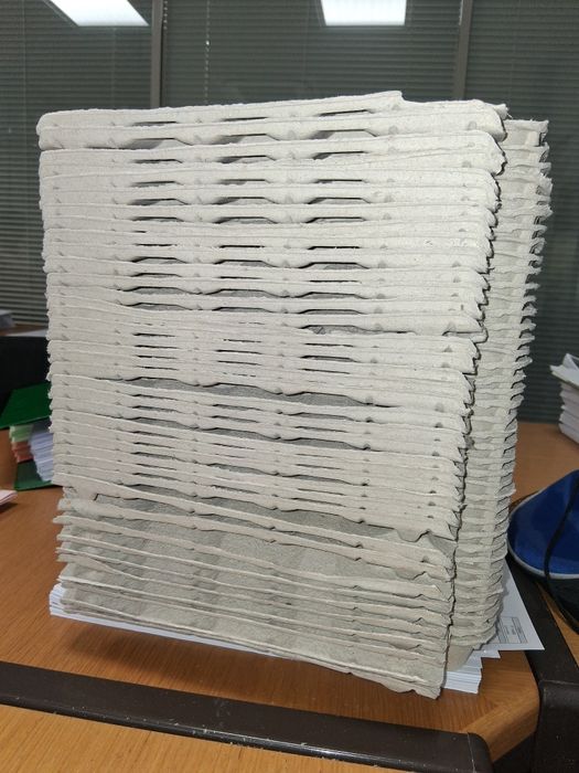 Caixas de Ovos Vazias