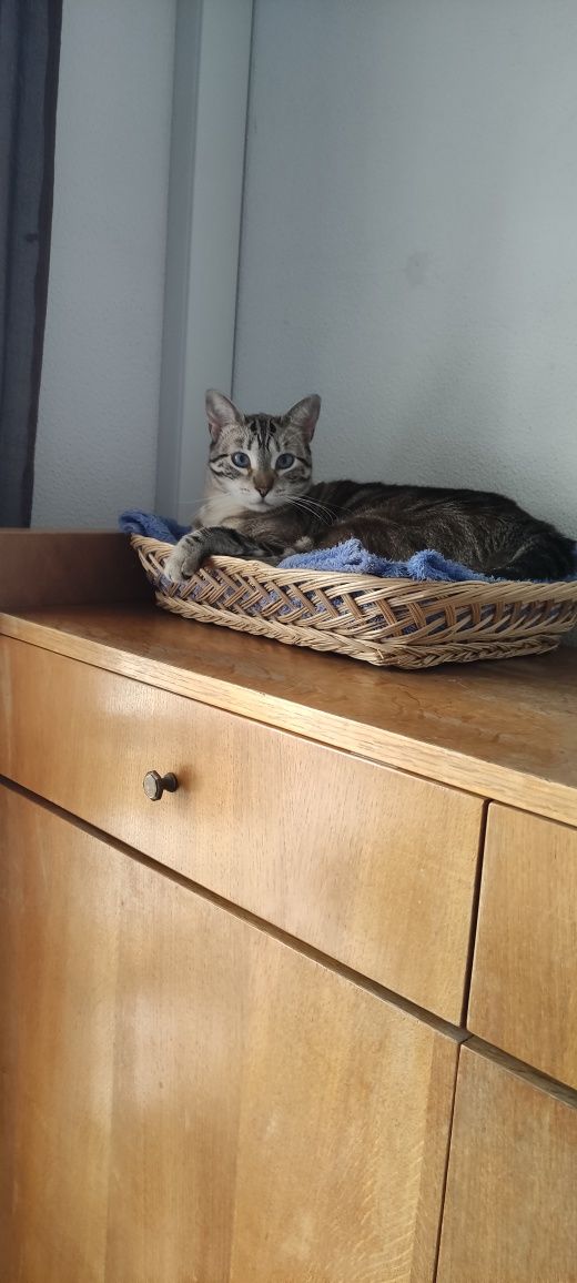 Alugo Quarto  apenas a estudante