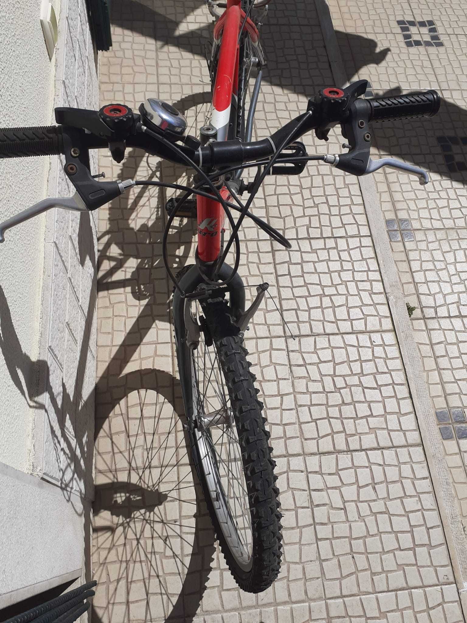 Bicicleta de Homem