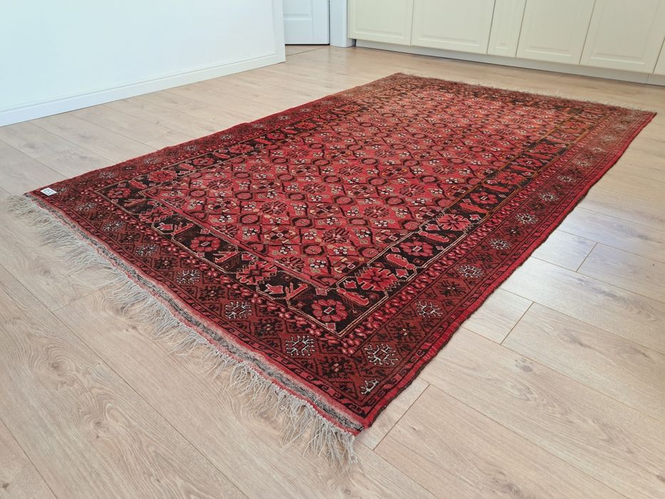 Kolekcjonerski Afgański Kazak ręcznie tkany wełniany dywan 150x240cm