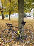 Rower szosowy Cube Attain SL 2017 56 Shimano 105