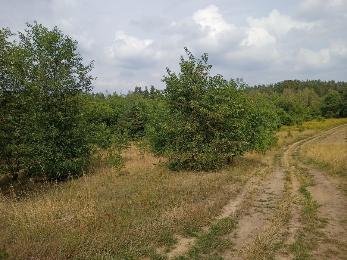 Działka rolna Bagno.