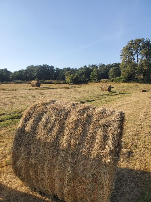 Rolos de Feno 2025 (Montalegre)