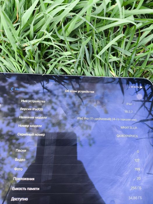 Ipad pro m2 256 gb