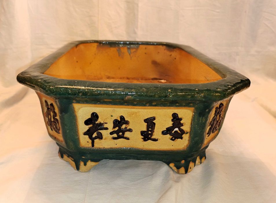 Vaso Terracota Bonsai