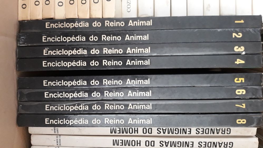 Livros antigos