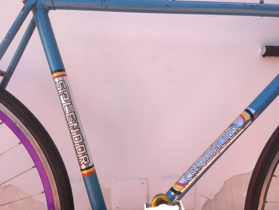 Splendor Criquielion - Fixed Gear/Single Speed