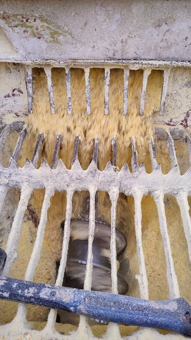 Kukurydza CCM mielona kiszonka bydło pasza