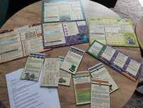 Dodatki do gry Root Plansze planszetki itd eng