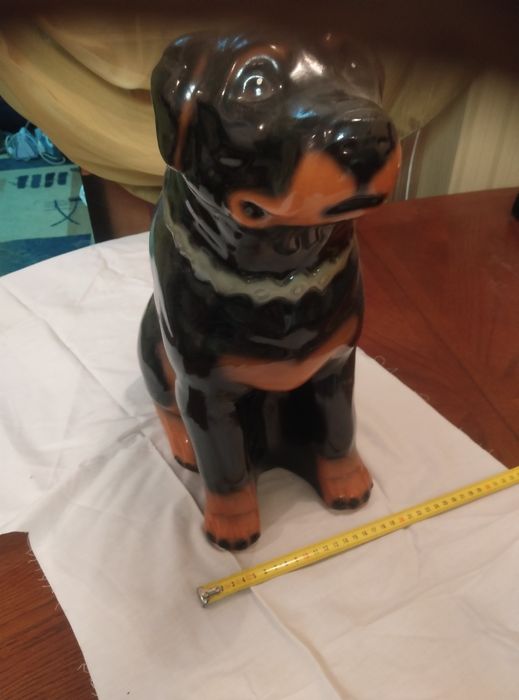 Картошка Ротвейлер большой .