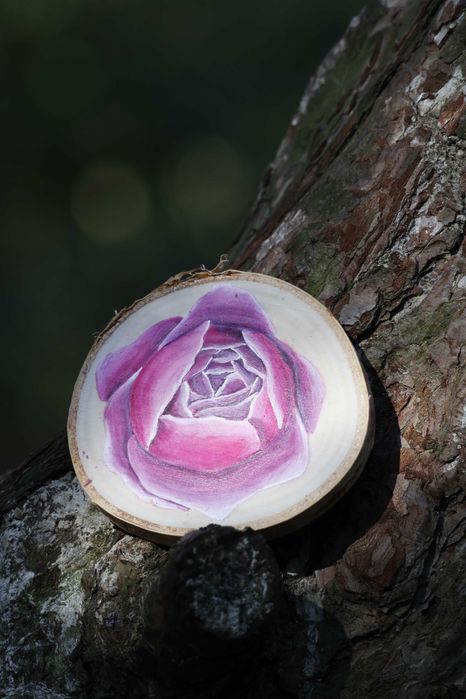 Magnes na lodówkę róża angielska