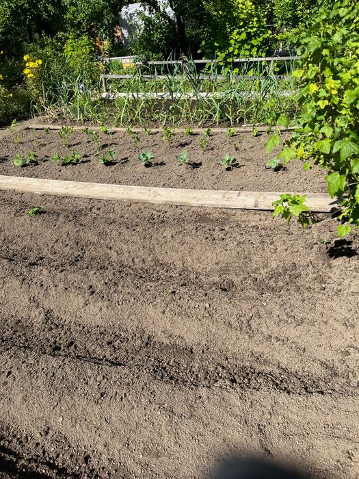 Działka rekreacyjna Zakopane-Kościelisko