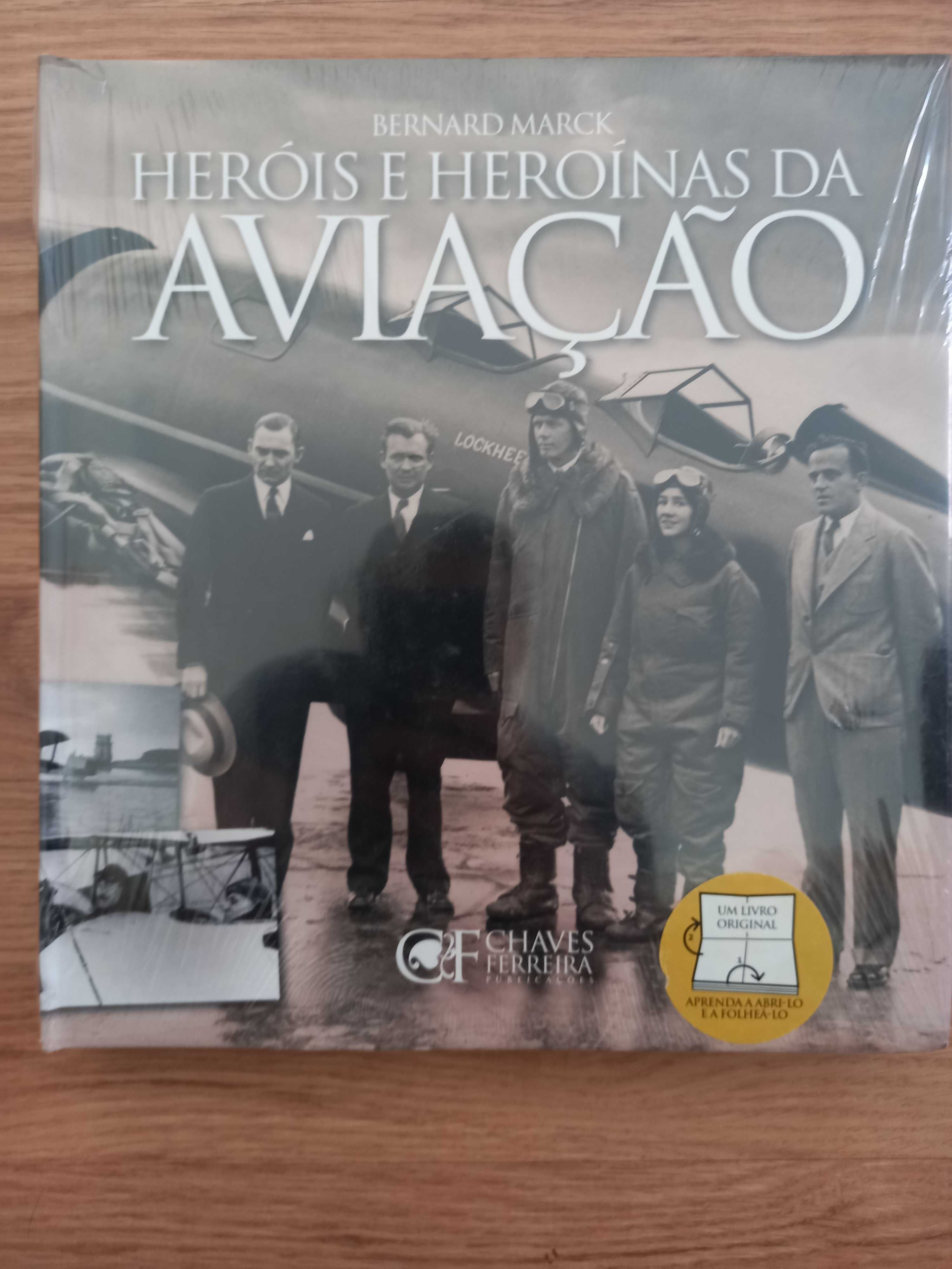 Aviação Heróis e Heroínas da Aviação