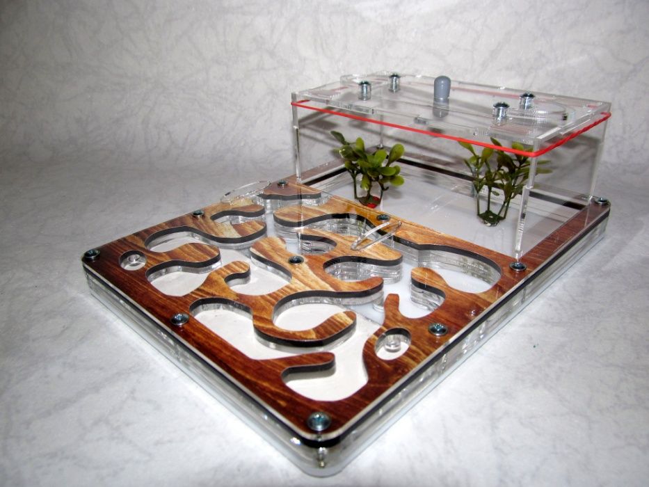 Муравьиная ферма (формикарий) «Anthouse» "дерево" + муравьи-жнецы