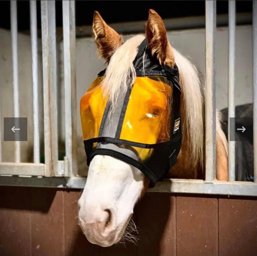 Maska dla konia REM XpertEquine Restoration Equine Mask