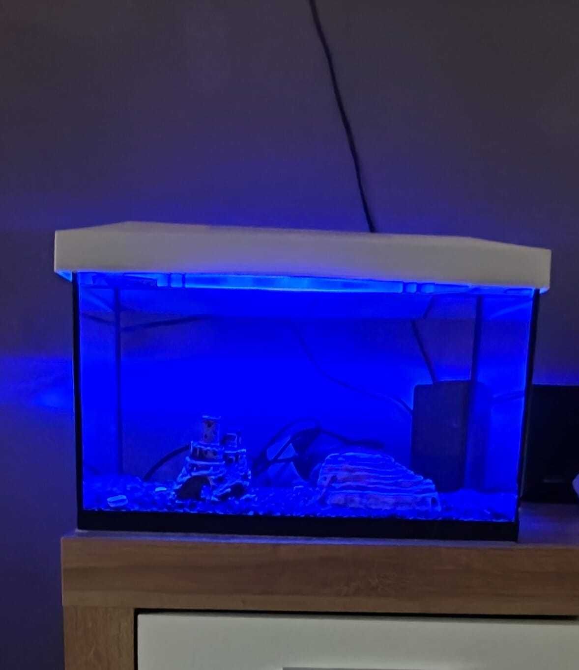 Akwarium 25 L z dodatkami