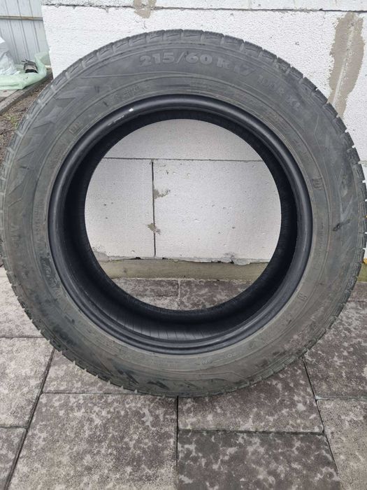 Шини зимові Nokian 215/60 R17 100R XL (Резина зимова)