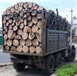 Продам Дрова Дубовые (ХОЗЯИН) 1600грн доставка бесплатно