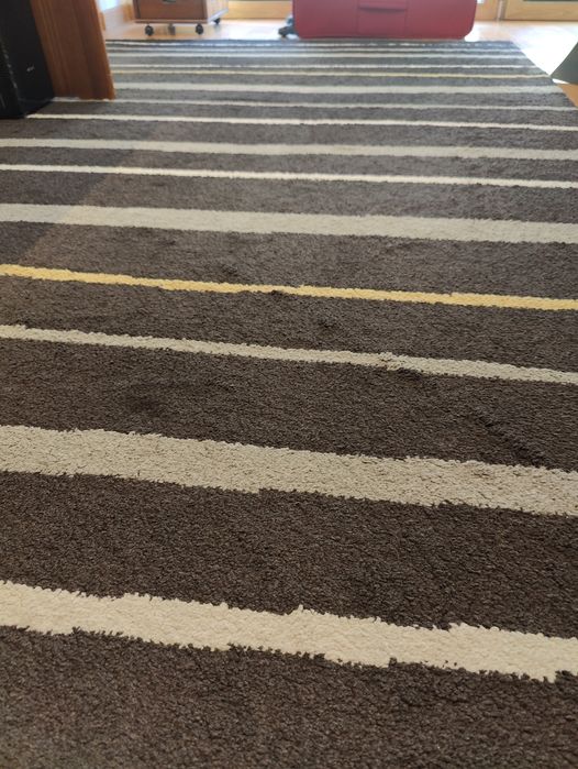 Tapete pelo curto (240x160)