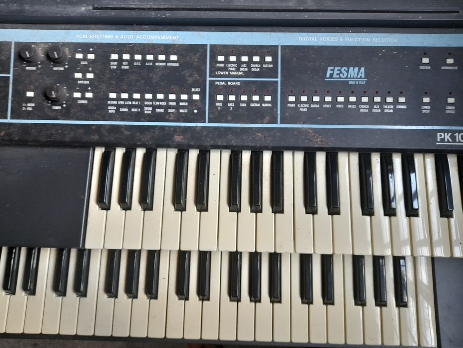 Órgão Fesma Pk 100 stereo