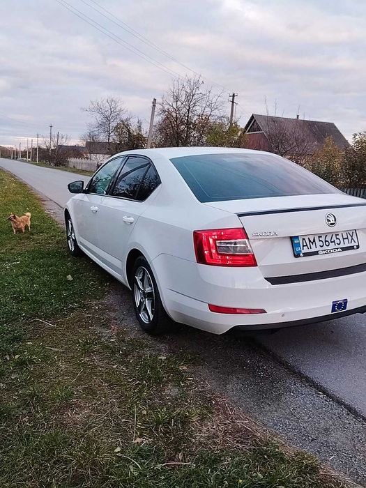 Продам авто..стан відмінний сів поїхав