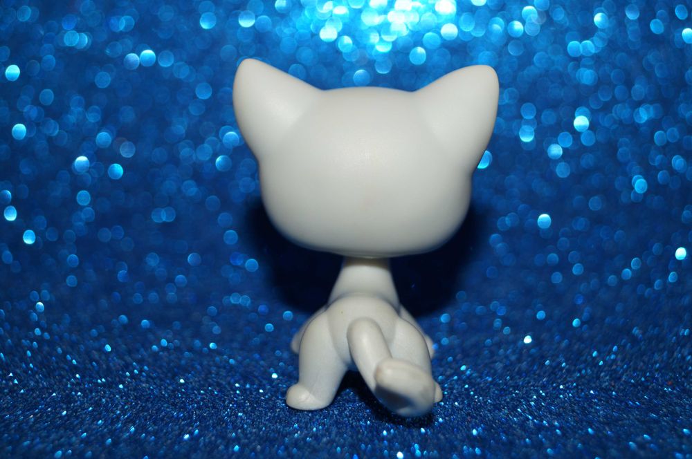 Littlest Pet Shop LPS #246 shorthair oryginalny cat pop Hasbro