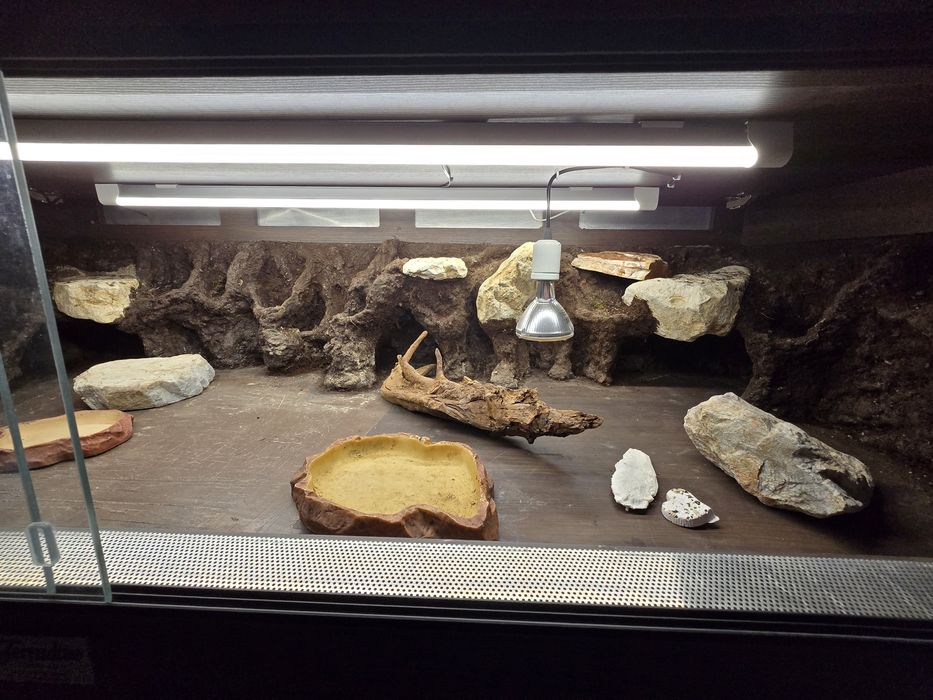Terradise. Duże terarium dla gekona żółwia węża itp..