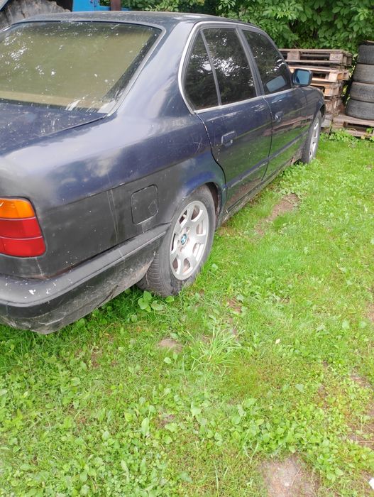 На повному ходу сів і попер