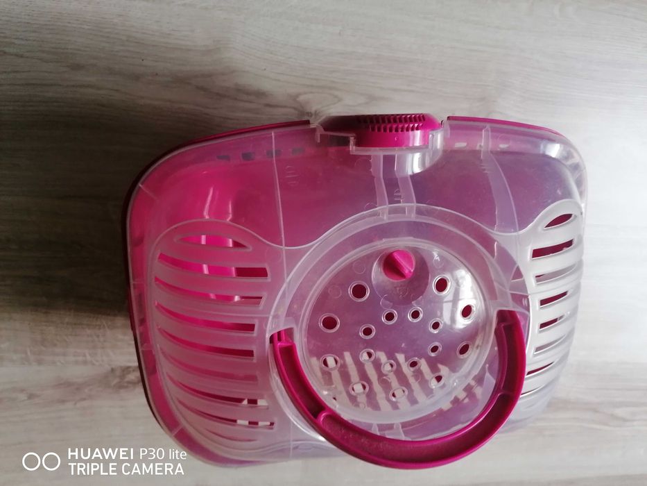 Transporter dla królika kota