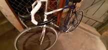 Rower Giant speeder