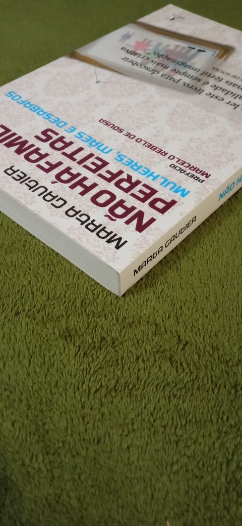 Não há famílias perfeitas - mulheres, mães e desabafos - Marta Gautier