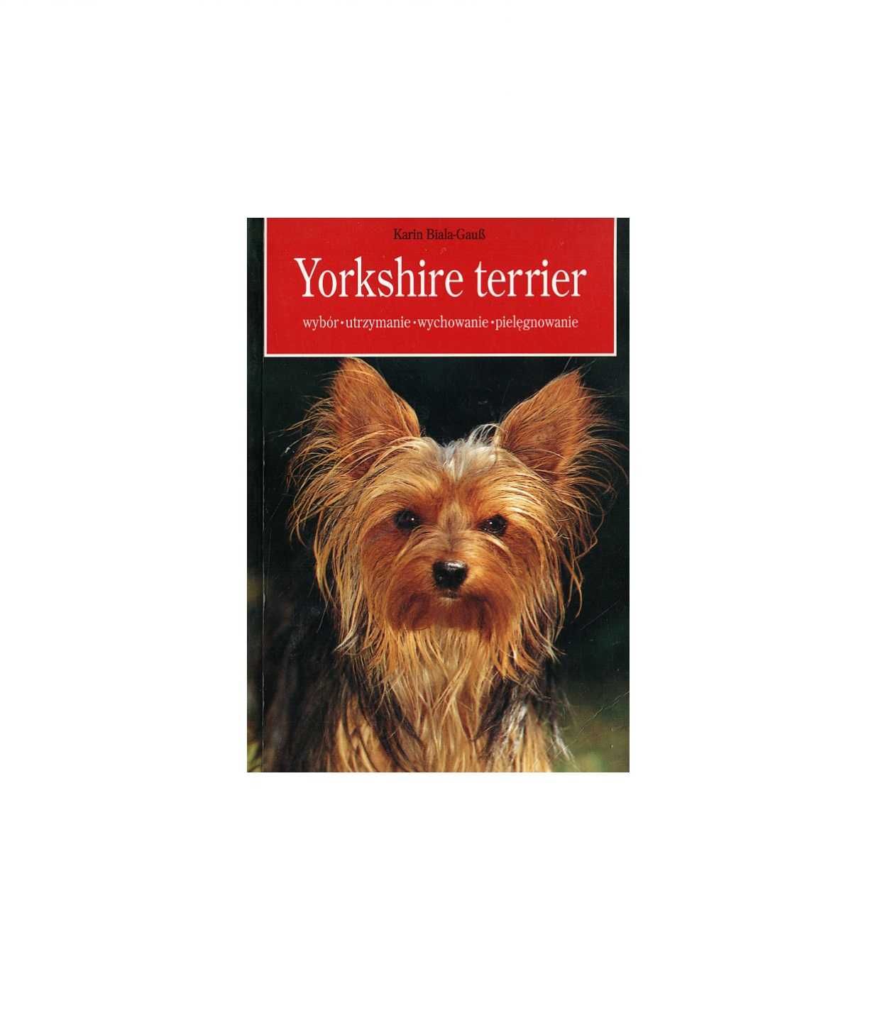 Yorkshire terrier: wybór, utrzymanie, wychowanie, pielęgnowanie