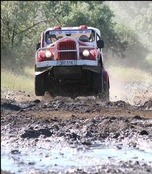 продається бойовий кінь!