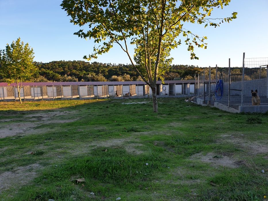 Hotel Canino Quinta do Pêgas