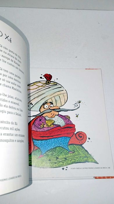 A Gata Tareca e outros poemas levados da breca - Luísa Ducla Soares