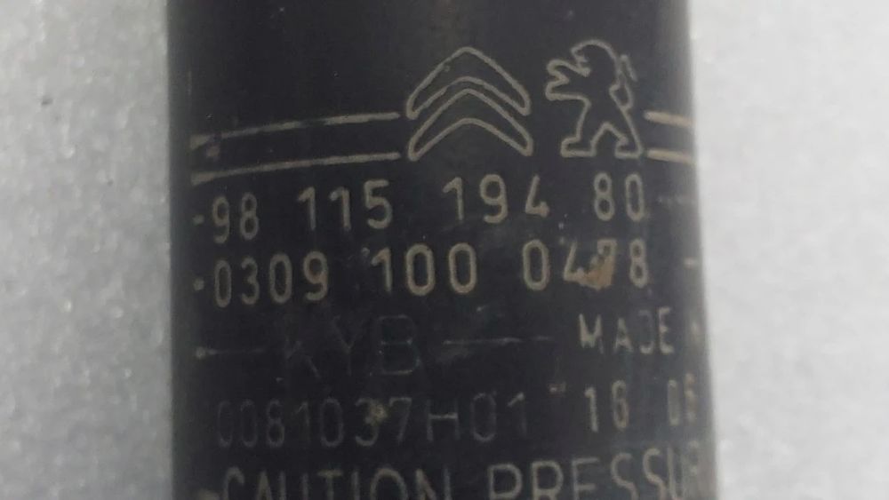 Amortecedor trás esquerdo CITROËN C4 II (B7)