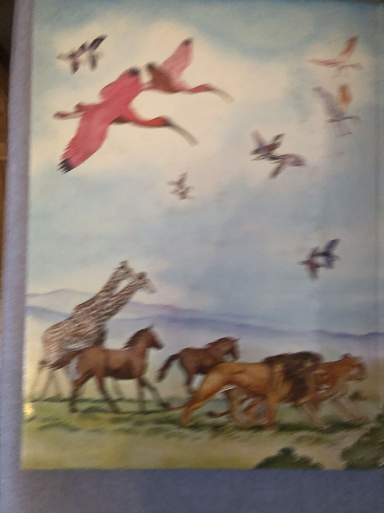 As mais belas historias da biblia narradas por patricia hunt