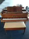 Piano de cauda Extremamente Raro
