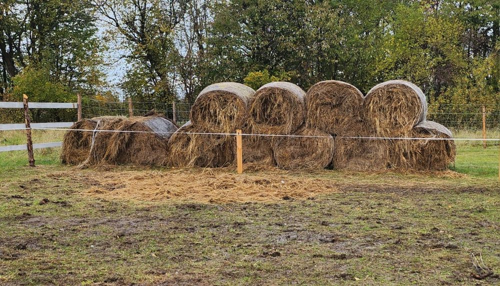 Sprzedam balony siana