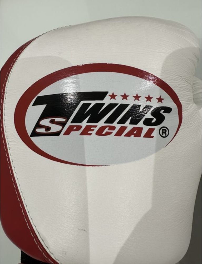 Боксерские перчатки Twins Special 10 oz