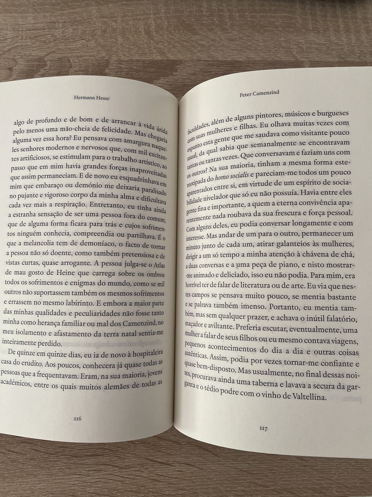 Hermann Hesse - Peter Camenzind