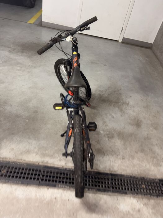 Orbea MX20 Rower