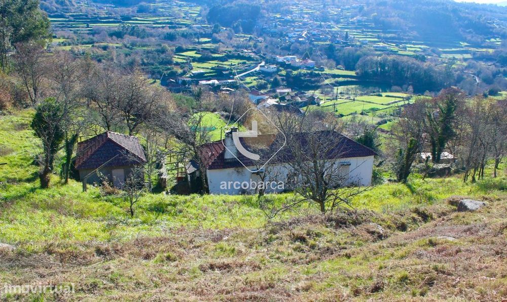 Quintinha com dois edificados, 4800m2 de terreno, na freguesia de Insa