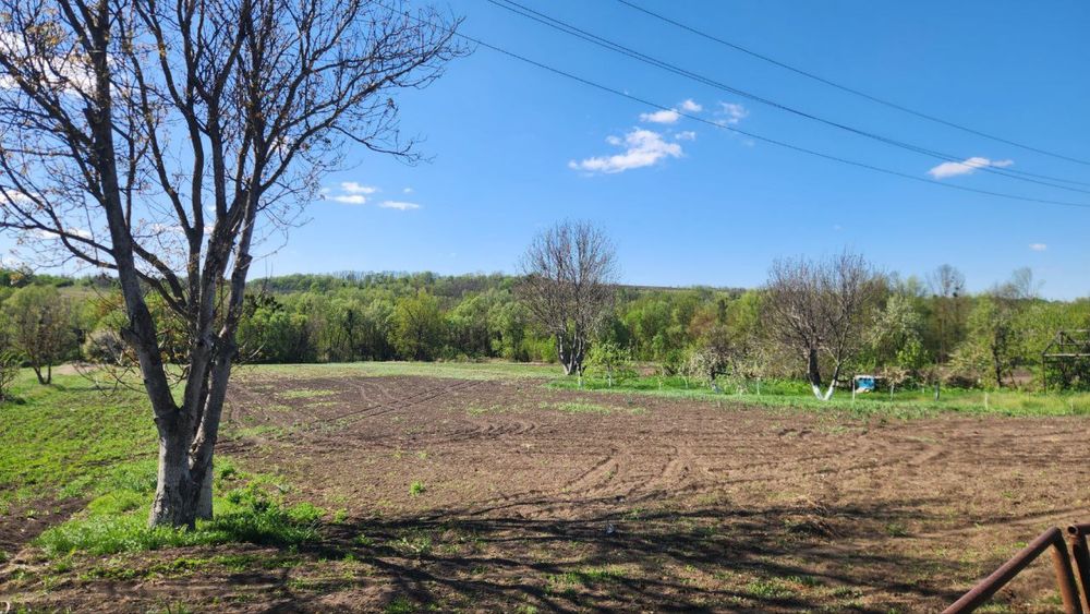 Продаються будинки !