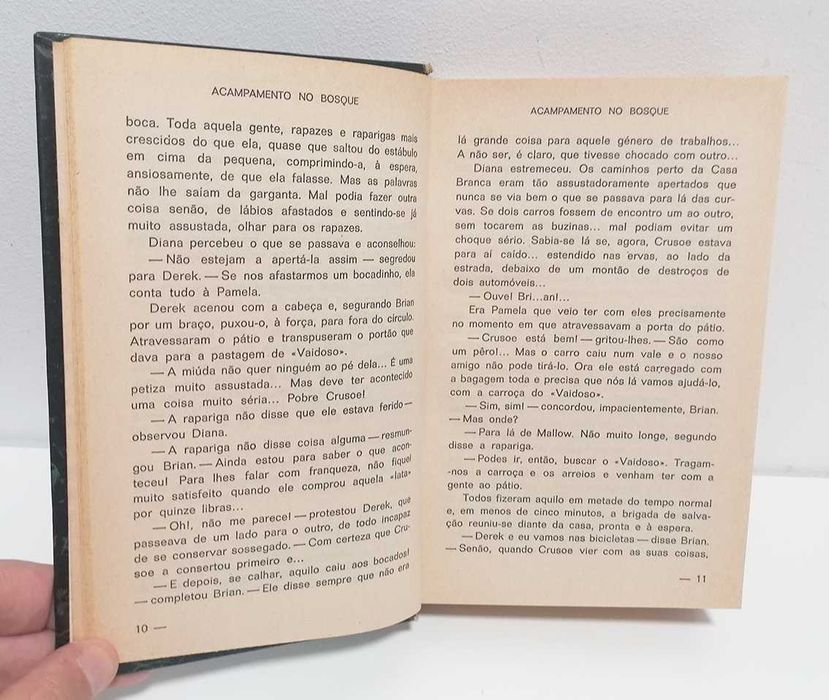 Acampamento no Bosque, de David Severn